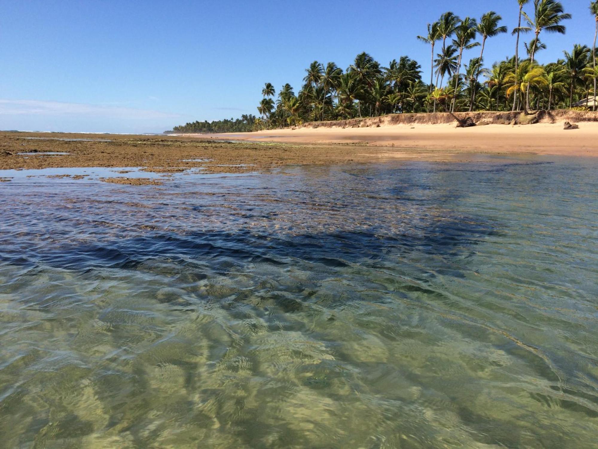 Pousada Velas E Vento - Barra Grande, Taipu De Fora, Marau Barra Grande  Exterior foto